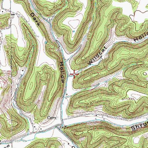 Topographic Map of Wildcat Hollow, TN