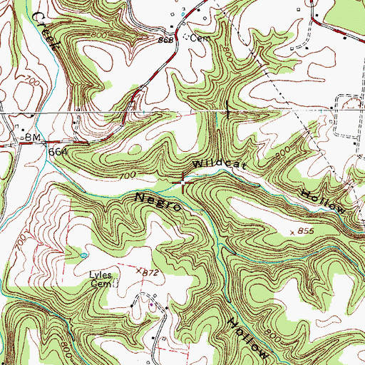 Topographic Map of Wildcat Hollow, TN
