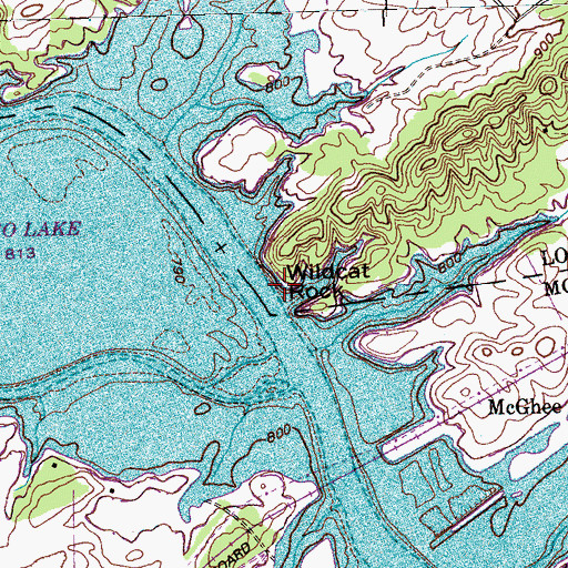 Topographic Map of Wildcat Rock, TN