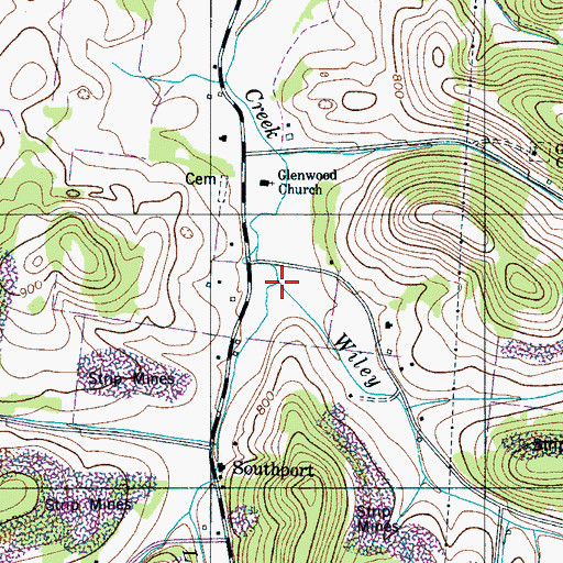 Topographic Map of Wiley Branch, TN
