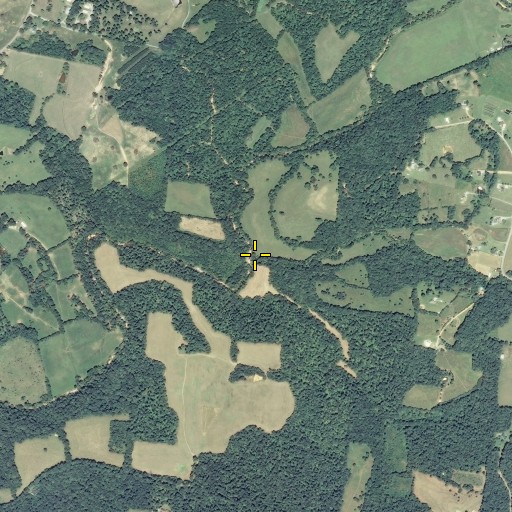 Aerial/Satellite Image of Wiley Branch, TN
