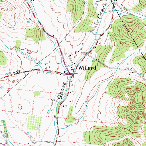 Topographic Map of Willard, TN