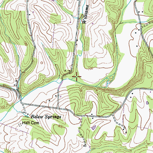 Topographic Map of Williams Branch, TN
