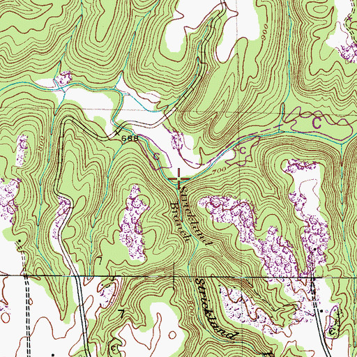 Topographic Map of Strickland Branch, AL