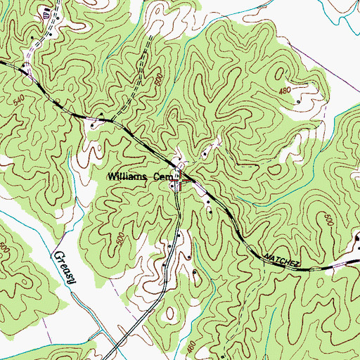 Topographic Map of Williams Cemetery, TN