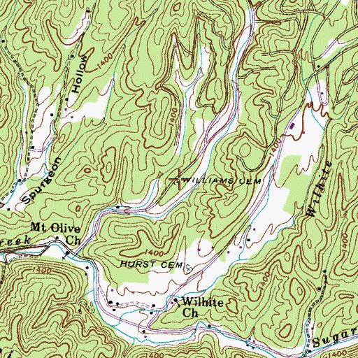 Topographic Map of Williams Cemetery, TN