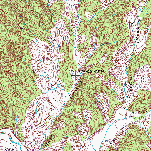 Topographic Map of Williams Cemetery, TN