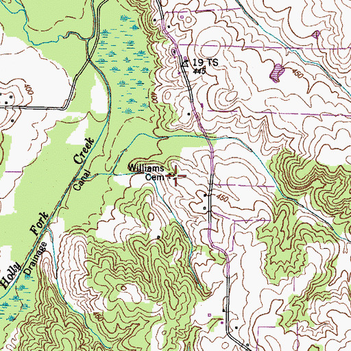 Topographic Map of Williams Cemetery, TN