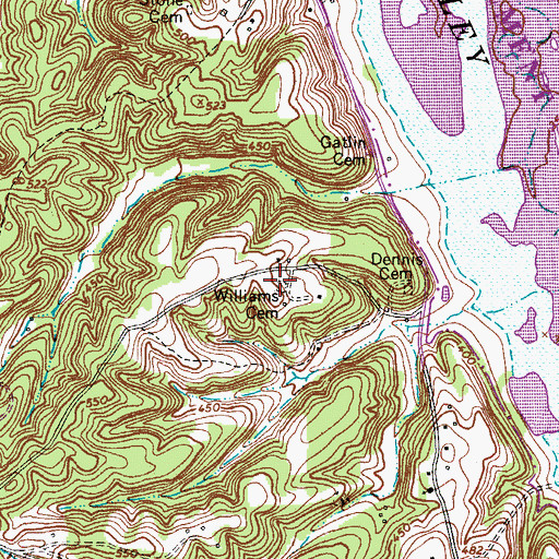 Topographic Map of Williams Cemetery, TN