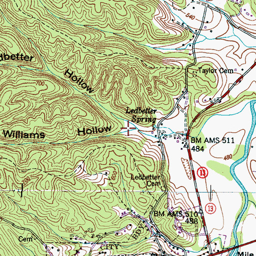 Topographic Map of Williams Hollow, TN