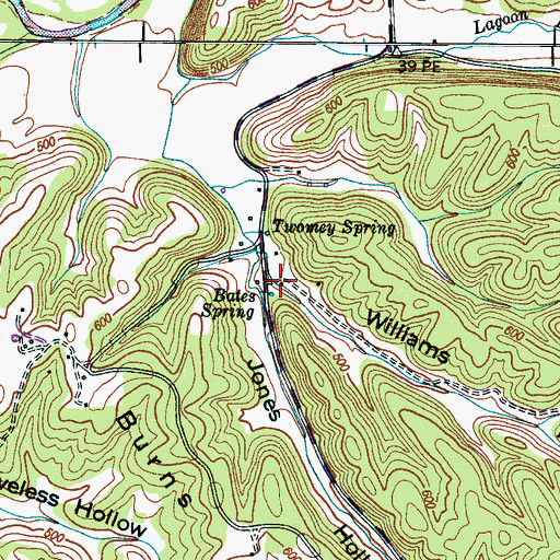 Topographic Map of Williams Hollow, TN
