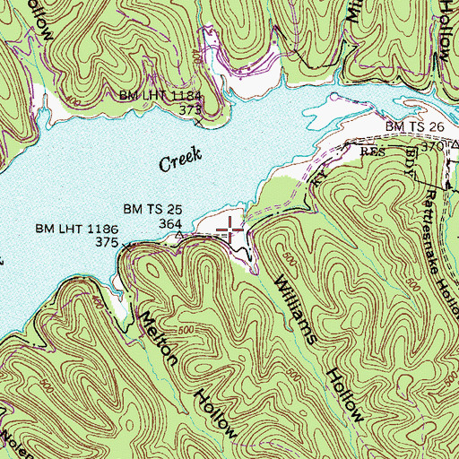 Topographic Map of Williams Hollow, TN