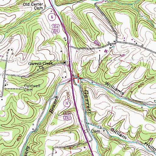 Topographic Map of Williams Hollow, TN