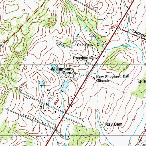 Topographic Map of Williamson Cemetery, TN