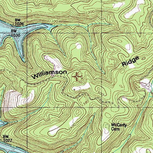 Topographic Map of Williamson Ridge, TN