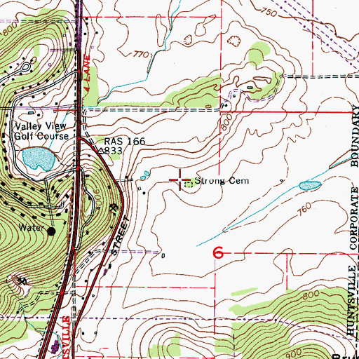 Topographic Map of Strong Cemetery, AL