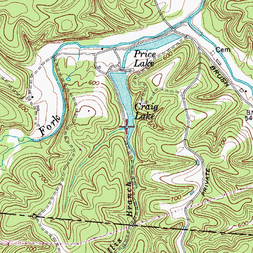 Topographic Map of Willis Branch, TN