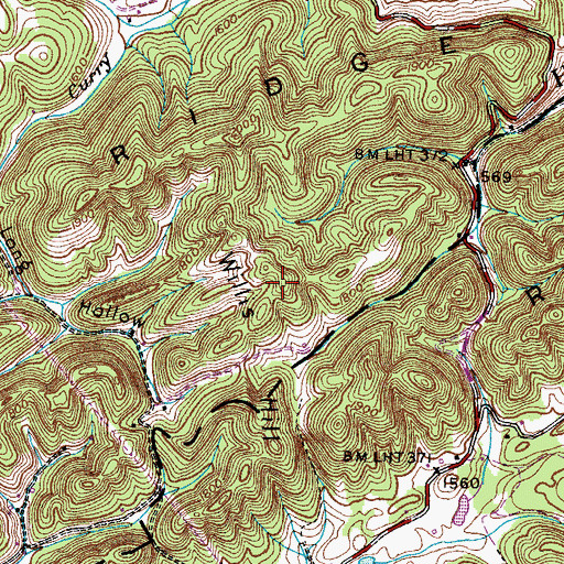 Topographic Map of Willis Hill, TN