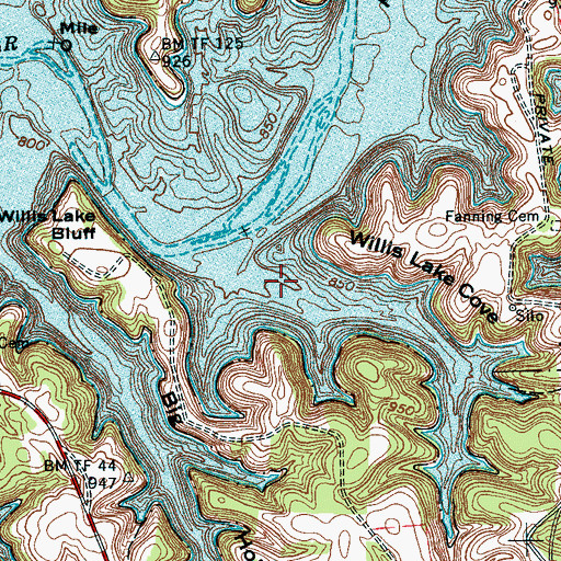 Topographic Map of Willis Lake Cove, TN
