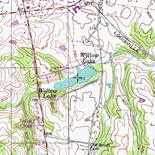 Topographic Map of Willow Lake, TN
