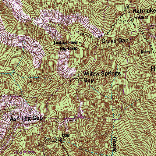 Topographic Map of Willow Springs Gap, TN