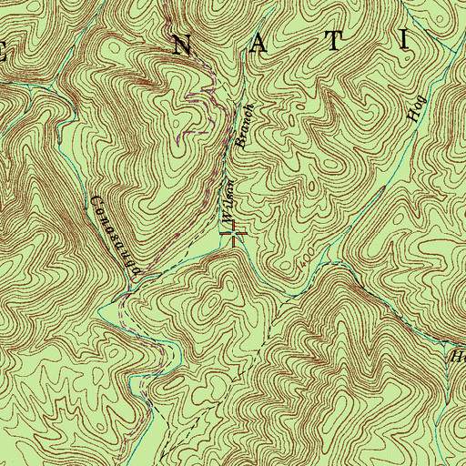 Topographic Map of Wilson Branch, TN