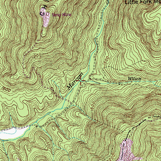 Topographic Map of Wilson Branch, TN