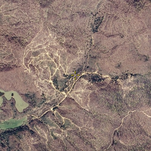 Aerial/Satellite Image of Wilson Branch, TN
