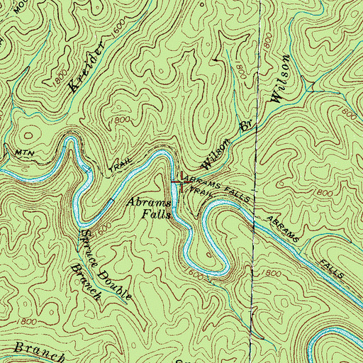 Topographic Map of Wilson Branch, TN