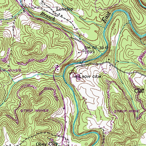 Topographic Map of Wilson Cemetery, TN