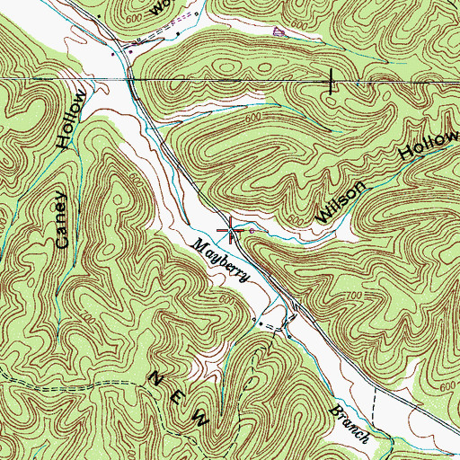 Topographic Map of Wilson Hollow, TN