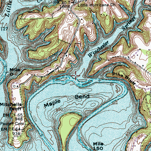 Topographic Map of Winchester Springs Branch, TN