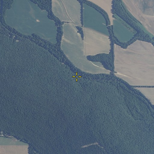 Aerial/Satellite Image of Sublett Bluff, AL
