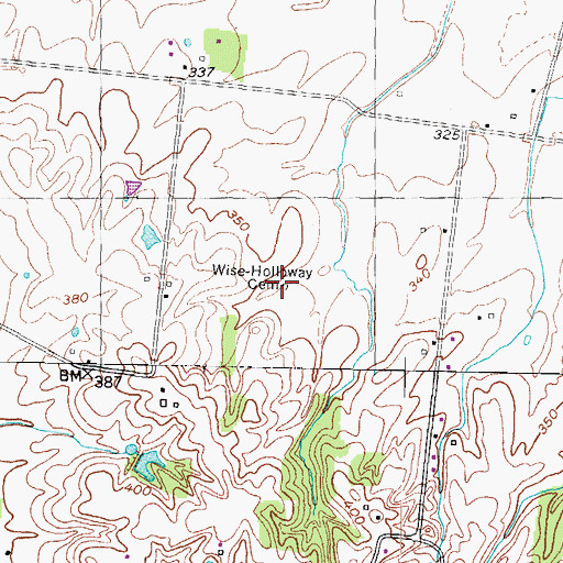 Topographic Map of Wise-Holloway Cemetery, TN