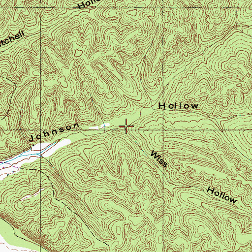 Topographic Map of Wiss Hollow, TN