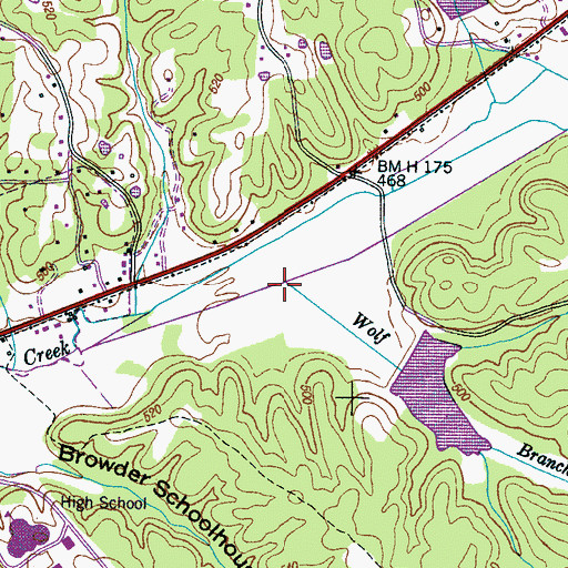 Topographic Map of Wolf Branch, TN