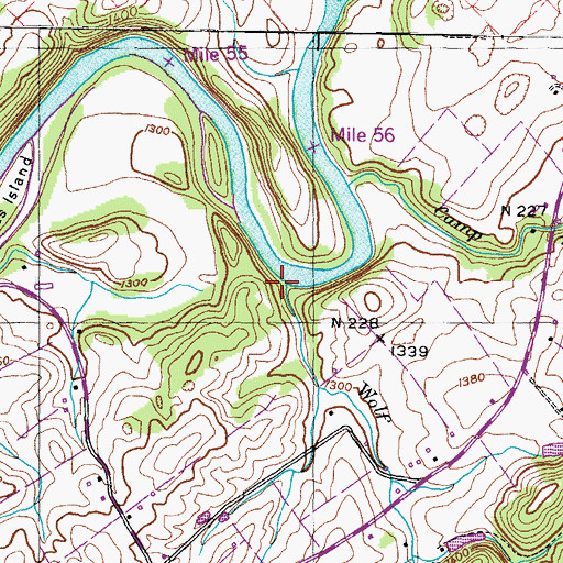 Topographic Map of Wolf Branch, TN