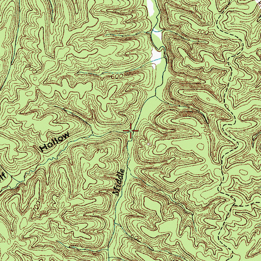 Topographic Map of Wolf Hollow, TN