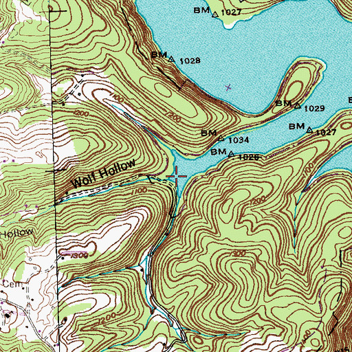 Topographic Map of Wolf Hollow, TN
