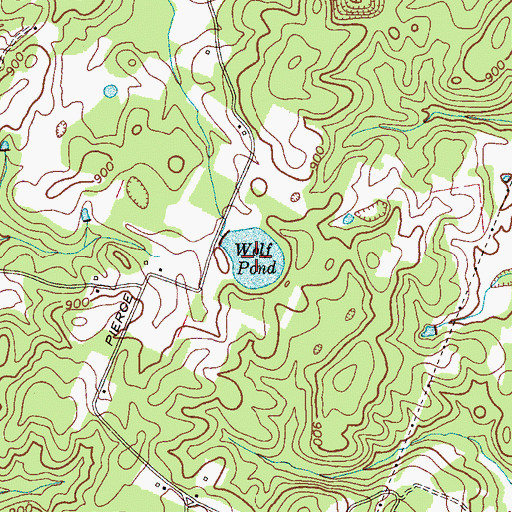 Topographic Map of Wolf Pond, TN