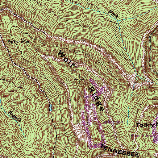 Topographic Map of Wolf Ridge, TN