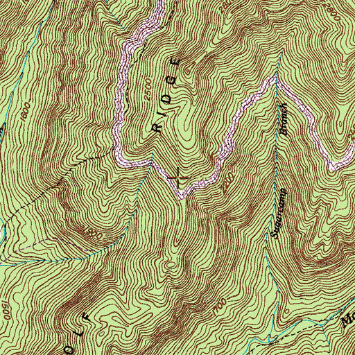 Topographic Map of Wolf Ridge, TN