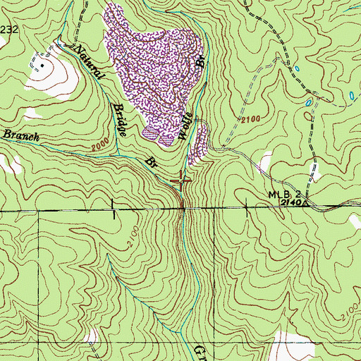 Topographic Map of Wolfe Branch, TN