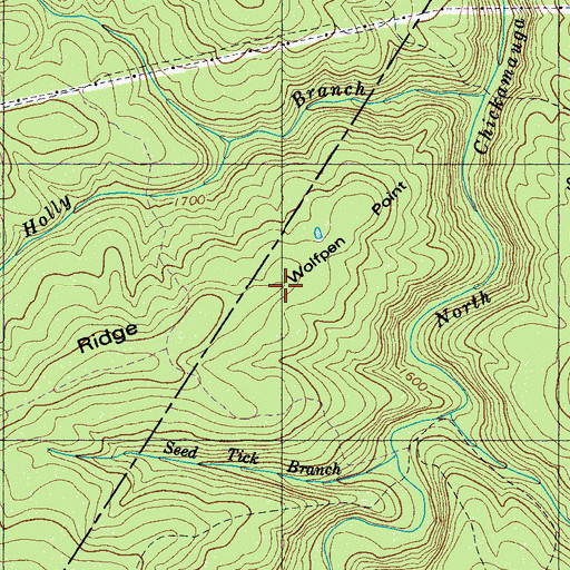 Topographic Map of Wolfpen Point, TN