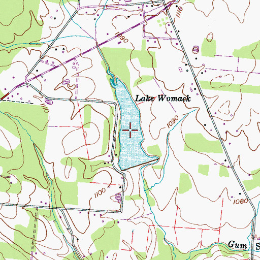 Topographic Map of Lake Womack, TN