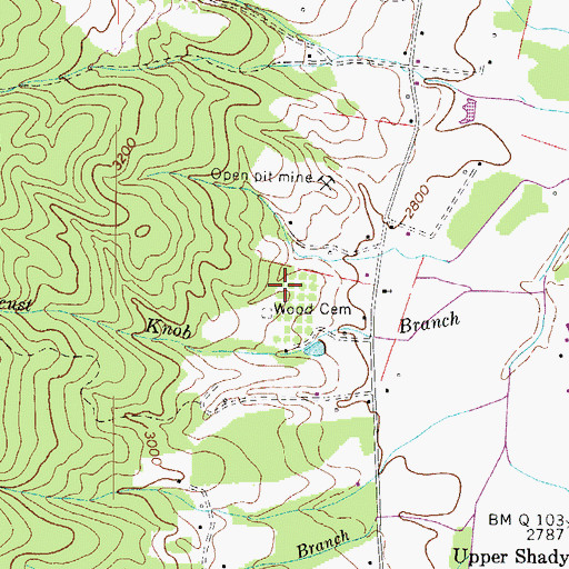 Topographic Map of Wood Cemetery, TN