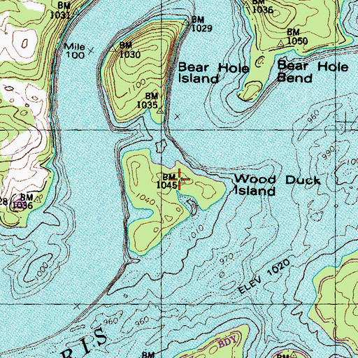 Topographic Map of Wood Duck Island, TN