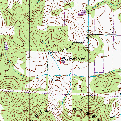 Topographic Map of Woodard Cemetery, TN