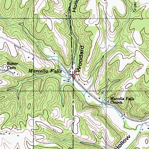 Topographic Map of Woodard Hollow, TN