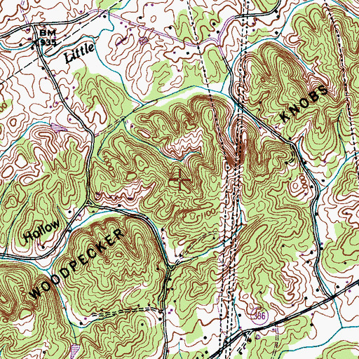 Topographic Map of Woodpecker Knobs, TN